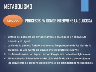 METABOLISMO
GLUCOSA PROCESOS EN DONDE INTERVIENE LA GLUCOSA
1. Síntesis del polímero de almacenamiento glucógeno en el músculo
estriado y el Hígado.
2. La vía de la pentosa fosfato, una alternativa para parte de las vías de la
glucólisis, es una fuente de equivalentes reductores (NADPH).
3. Los Triosa fosfatos dan lugar a la porción glicerol de los triacilgliceroles.
4. El Piruvato y los intermediarios del ciclo del ácido cítrico proporcionan
los esqueletos de carbono para la síntesis de aminoácidos no esenciales
 