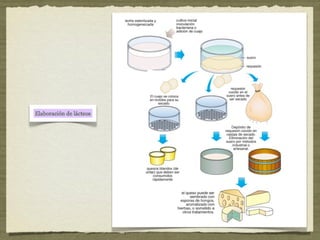 Tema 8: Microbiología