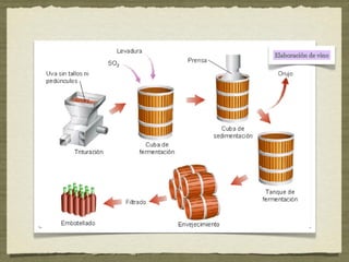 Tema 8: Microbiología