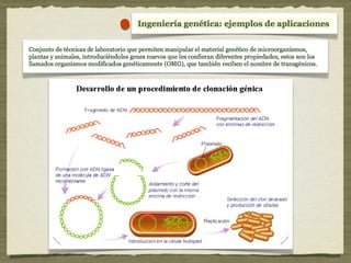 Tema 8: Microbiología