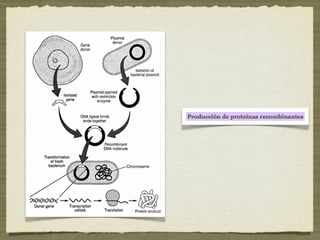 Tema 8: Microbiología