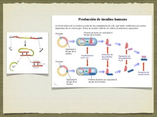 Tema 8: Microbiología