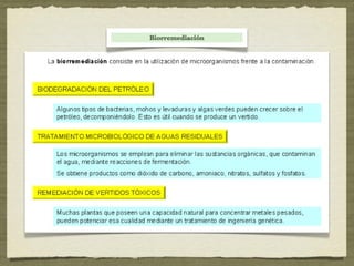 Tema 8: Microbiología