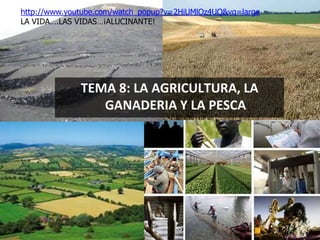 TEMA 8: LA AGRICULTURA, LA
GANADERIA Y LA PESCA
http://www.youtube.com/watch_popup?v=2HiUMlOz4UQ&vq=large
LA VIDA….LAS VIDAS…¡ALUCINANTE!
1
 