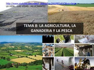 http://www.youtube.com/watch_popup?v=2HiUMlOz4UQ&vq=large
LA VIDA….LAS VIDAS…¡ALUCINANTE!




              TEMA 8: LA AGRICULTURA, LA
                 GANADERIA Y LA PESCA
 