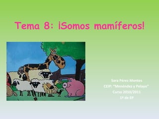 Tema 8: ¡Somos mamíferos! Sara Pérez Montes CEIP: “Menéndez y Pelayo”  Curso 2010/2011 1º de EP 