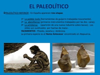 EL PALEOLÍTICO
PALEOLÍTICO INFERIOR : En España aparecen tres etapas

                1ª La pebble tools (herramientas de guijarro trabajadas toscamente).
                2ª La abevilliense (primeros instrumentos trabajados por las dos caras).
                3ª La achólense (aparición de una nueva industria sobre lascas) . Los
                   útiles son sustituidos por hachas de mano .
                YACIMIENTOS : Pinedo, Jarama y Ambrona.
                La primera especie es el Homo Antecesor encontrado en Atapuerca.
 