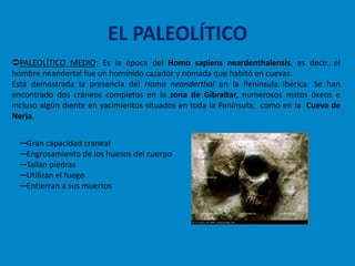EL PALEOLÍTICO
PALEOLÍTICO MEDIO: Es la época del Homo sapiens neardenthalensis, es decir, el
hombre neandertal fue un homínido cazador y nómada que habitó en cuevas.
Está demostrada la presencia del Homo neanderthal en la Península Ibérica. Se han
encontrado dos cráneos completos en la zona de Gibraltar, numerosos restos óseos e
incluso algún diente en yacimientos situados en toda la Península, como en la Cueva de
Nerja.


  ─Gran capacidad craneal
  ─Engrosamiento de los huesos del cuerpo
  ─Tallan piedras
  ─Utilizan el fuego
  ─Entierran a sus muertos
 
