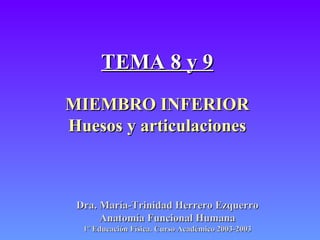TEMA 8 y 9 MIEMBRO INFERIOR Huesos y articulaciones Dra. María-Trinidad Herrero Ezquerro Anatomía Funcional Humana 1º Educación Física. Curso Académico 2003-2003 
