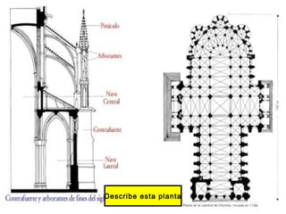 Describe esta planta
 