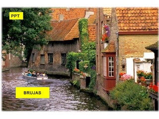 BRUJAS
PPT
 