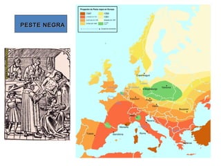 PESTE NEGRAPESTE NEGRA
 