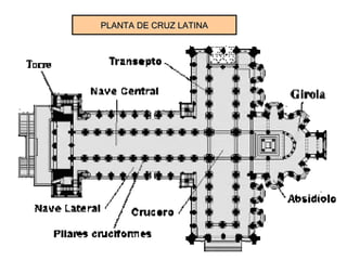PLANTA DE CRUZ LATINAPLANTA DE CRUZ LATINA
 