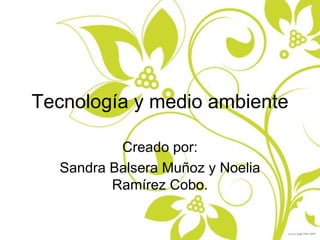 Tecnología y medio ambiente Creado por: Sandra Balsera Muñoz y Noelia Ramírez Cobo. 