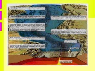 ¿CÓMO SE MIDEN LOS TERREMOTOS? En la actualidad se utilizan  sismógrafos , y las gráficas que dibujan se llaman  sismogramas. 