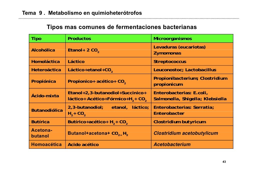 calculadora de metabolismo basal secretos