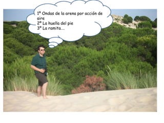 1º Ondas de la arena por acción de aire 2º La huella del pie 3º La ramita…. 
