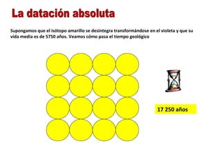 La datación absoluta Supongamos que el isótopo amarillo se desintegra transformándose en el violeta y que su vida media es de 5750 años. Veamos cómo pasa el tiempo geológico  5750 años 11 500 años 17 250 años 