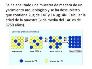 Se ha analizado una muestra de madera de un yacimiento arqueológico y se ha descubierto que contiene 2μg de 14C y 14 μg14N. Calcular la edad de la muestra (vida media del 14C es de 5750 años). 