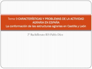 Tema 9:CARACTERÍSTICAS Y PROBLEMAS DE LA ACTIVIDAD
                    AGRARIA EN ESPAÑA
La conformación de las estructuras agrarias en Castilla y León

                2º Bachillerato IES Pablo Díez
 