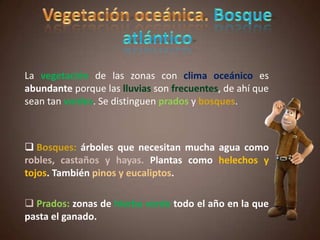 La vegetación de las zonas con clima oceánico es
abundante porque las lluvias son frecuentes, de ahí que
sean tan verdes. Se distinguen prados y bosques.
 Bosques: árboles que necesitan mucha agua como
robles, castaños y hayas. Plantas como helechos y
tojos. También pinos y eucaliptos.
 Prados: zonas de hierba verde todo el año en la que
pasta el ganado.
 