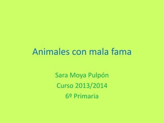 Animales con mala fama
Sara Moya Pulpón
Curso 2013/2014
6º Primaria

 