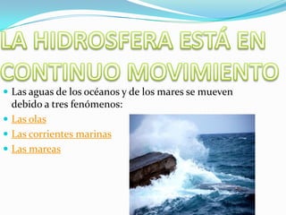  Las aguas de los océanos y de los mares se mueven
debido a tres fenómenos:
 Las olas
 Las corrientes marinas
 Las mareas
 