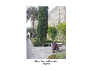 Alhambra de Granada.
Adarve
 