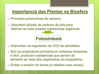 Importancia das Plantas na Biosfera
o Principais productoras de osíxeno.
o Absorben dióxido de carbono do aire para
fabricar as súas propias substancias orgánicas.
o Interveñen na regulación do CO2 da atmósfera.
o Son os productores primarios en sistemas terrestres,
é dicir, producen substancias que serven de
alimento ao resto dos organismos do ecosistema.
Fotosíntesis
o Evitan a erosión do terreo (o reteñen coas raices).
 