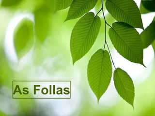 As Follas
 