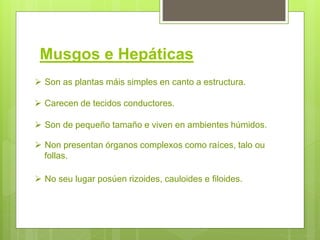 Musgos e Hepáticas
 Son as plantas máis simples en canto a estructura.
 Carecen de tecidos conductores.
 Son de pequeño tamaño e viven en ambientes húmidos.
 Non presentan órganos complexos como raíces, talo ou
follas.
 No seu lugar posúen rizoides, cauloides e filoides.
 