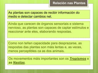 Relación nas Plantas
As plantas son capaces de recibir información do
medio e detectar cambios nel.
Aínda que carecen de órganos sensoriais e sistema
nervioso, as plantas son capaces de captar estímulos e
reaccionar ante eles, elaborando respostas.
Como non teñen capacidade para desprazarse, as
respostas das plantas son máis lentas e, as veces,
menos perceptibles ca as dos animais.
Os movementos máis importantes son os Tropismos e
as Nastias.
 