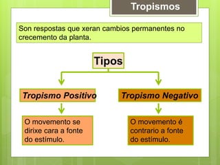 Tropismos
Son respostas que xeran cambios permanentes no
crecemento da planta.
Tropismo Positivo Tropismo Negativo
Tipos
O movemento é
contrario a fonte
do estímulo.
O movemento se
dirixe cara a fonte
do estímulo.
 