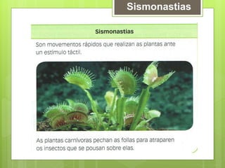 Sismonastias
 