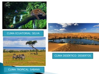 CLIMA ECUATORIAL: SELVA
CLIMA DESÉRTICO: DESIERTOS
CLIMA TROPICAL: SABANA
 