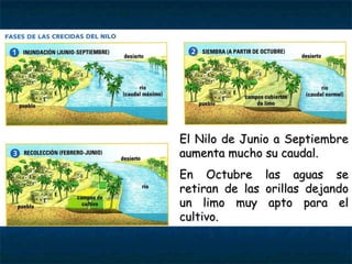 El Nilo de Junio a SeptiembreEl Nilo de Junio a Septiembre
aumenta mucho su caudal.aumenta mucho su caudal.
En Octubre las aguas seEn Octubre las aguas se
retiran de las orillas dejandoretiran de las orillas dejando
un limo muy apto para elun limo muy apto para el
cultivo.cultivo.
 