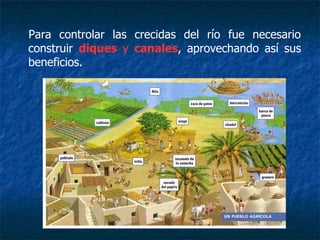 Para controlar las crecidas del río fue necesario
construir diques y canales, aprovechando así sus
beneficios.
 