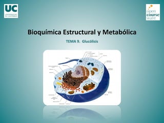 TEMA	
  9.	
  	
  Glucólisis	
  
Bioquímica	
  Estructural	
  y	
  Metabólica	
  
 