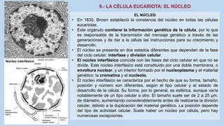 La Célula eucariota