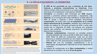 La Célula eucariota