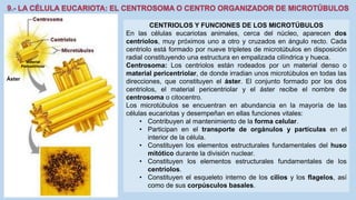 La Célula eucariota