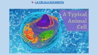 La Célula eucariota
