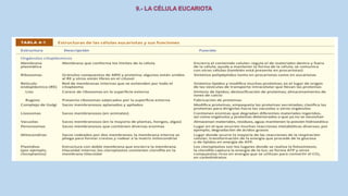 La Célula eucariota