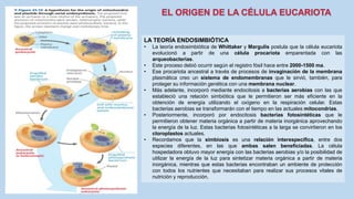 La Célula eucariota