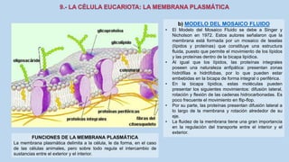 La Célula eucariota