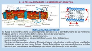 La Célula eucariota