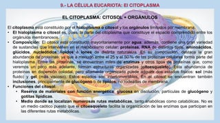 La Célula eucariota