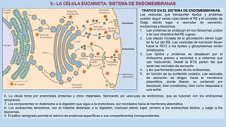 La Célula eucariota