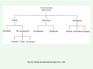 Fig. 9.3. Formas de impurezas del agua (Kiely, 1999)
 