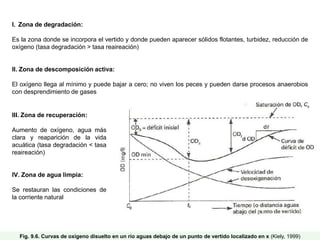 Fig. 9.6. Curvas de oxígeno disuelto en un río aguas debajo de un punto de vertido localizado en x (Kiely, 1999)
I. Zona de degradación:
Es la zona donde se incorpora el vertido y donde pueden aparecer sólidos flotantes, turbidez, reducción de
oxígeno (tasa degradación > tasa reaireación)
II. Zona de descomposición activa:
El oxígeno llega al mínimo y puede bajar a cero; no viven los peces y pueden darse procesos anaerobios
con desprendimiento de gases
III. Zona de recuperación:
Aumento de oxígeno, agua más
clara y reaparición de la vida
acuática (tasa degradación < tasa
reaireación)
IV. Zona de agua limpia:
Se restauran las condiciones de
la corriente natural
 